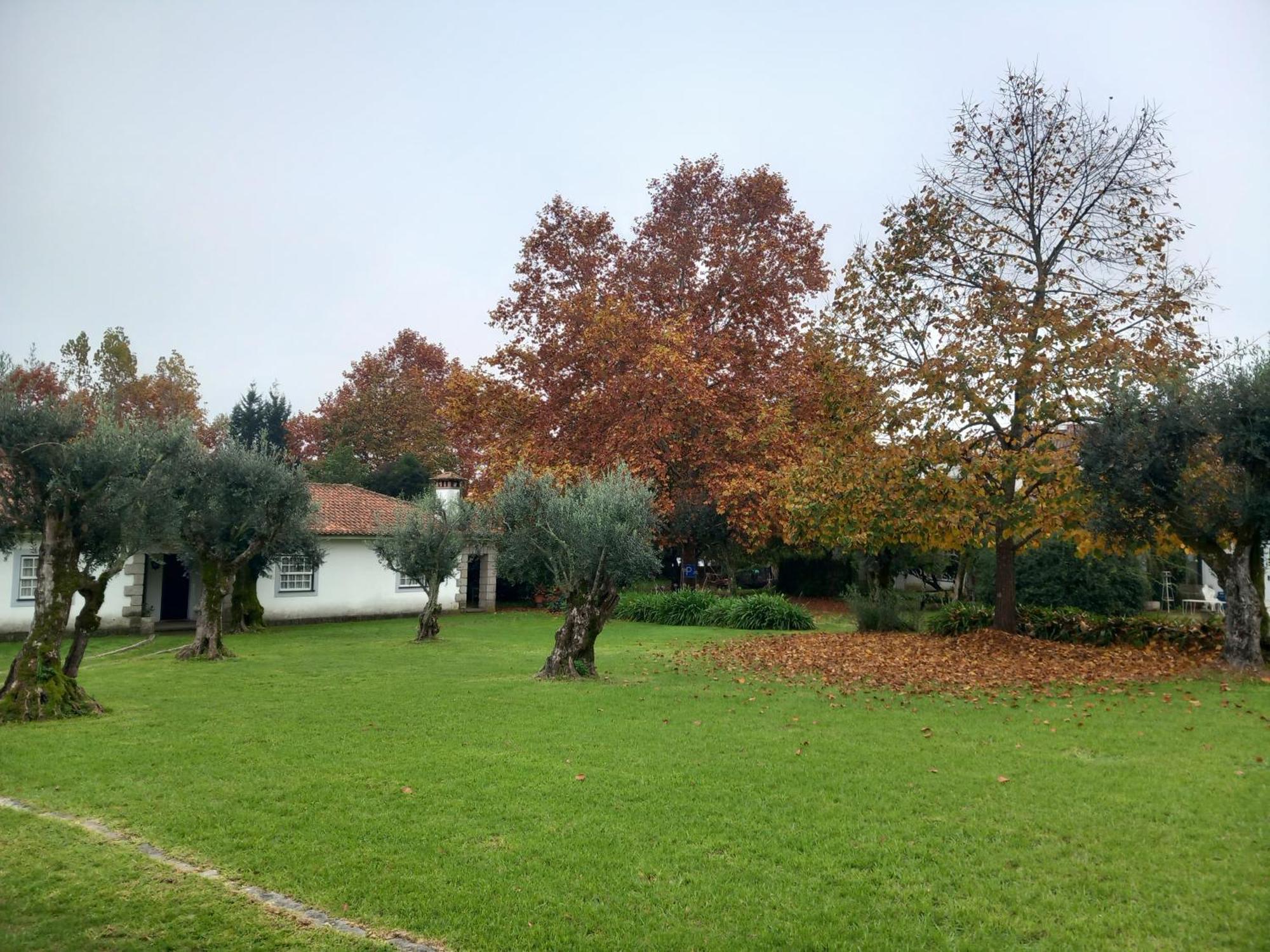 Casas Do Zagao - Turismo Rural Carregal do Sal Eksteriør bilde