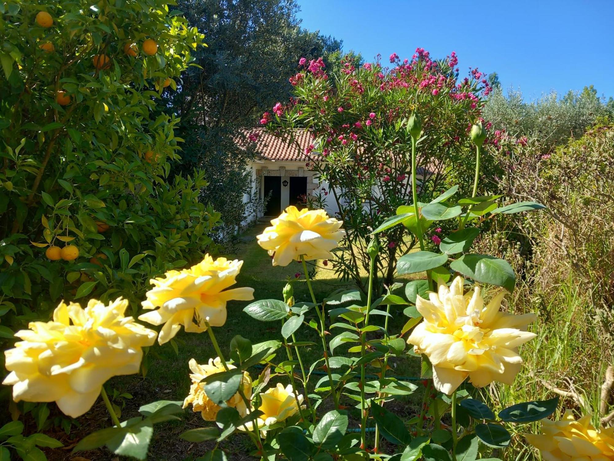 Casas Do Zagao - Turismo Rural Carregal do Sal Eksteriør bilde
