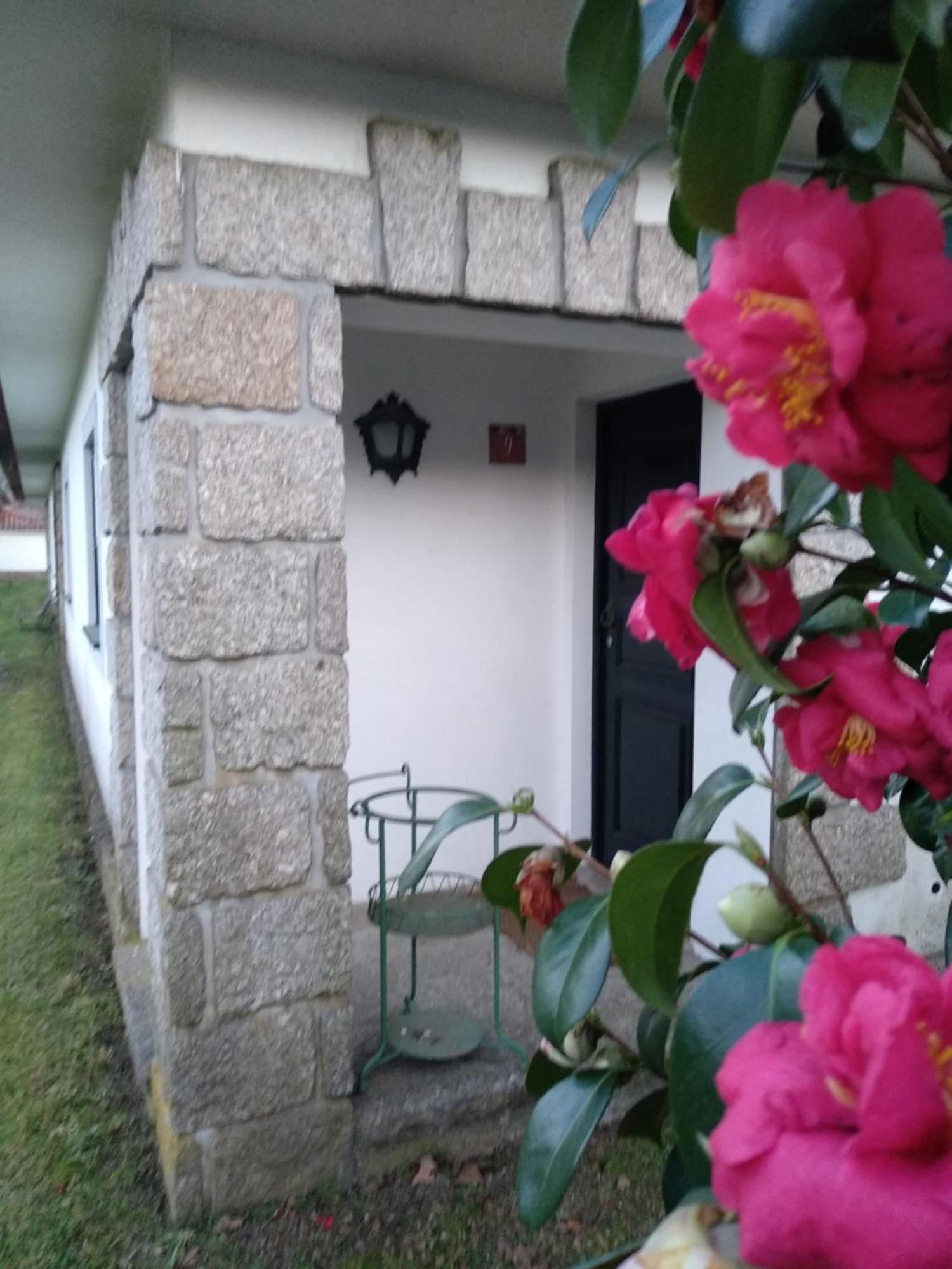 Casas Do Zagao - Turismo Rural Carregal do Sal Eksteriør bilde