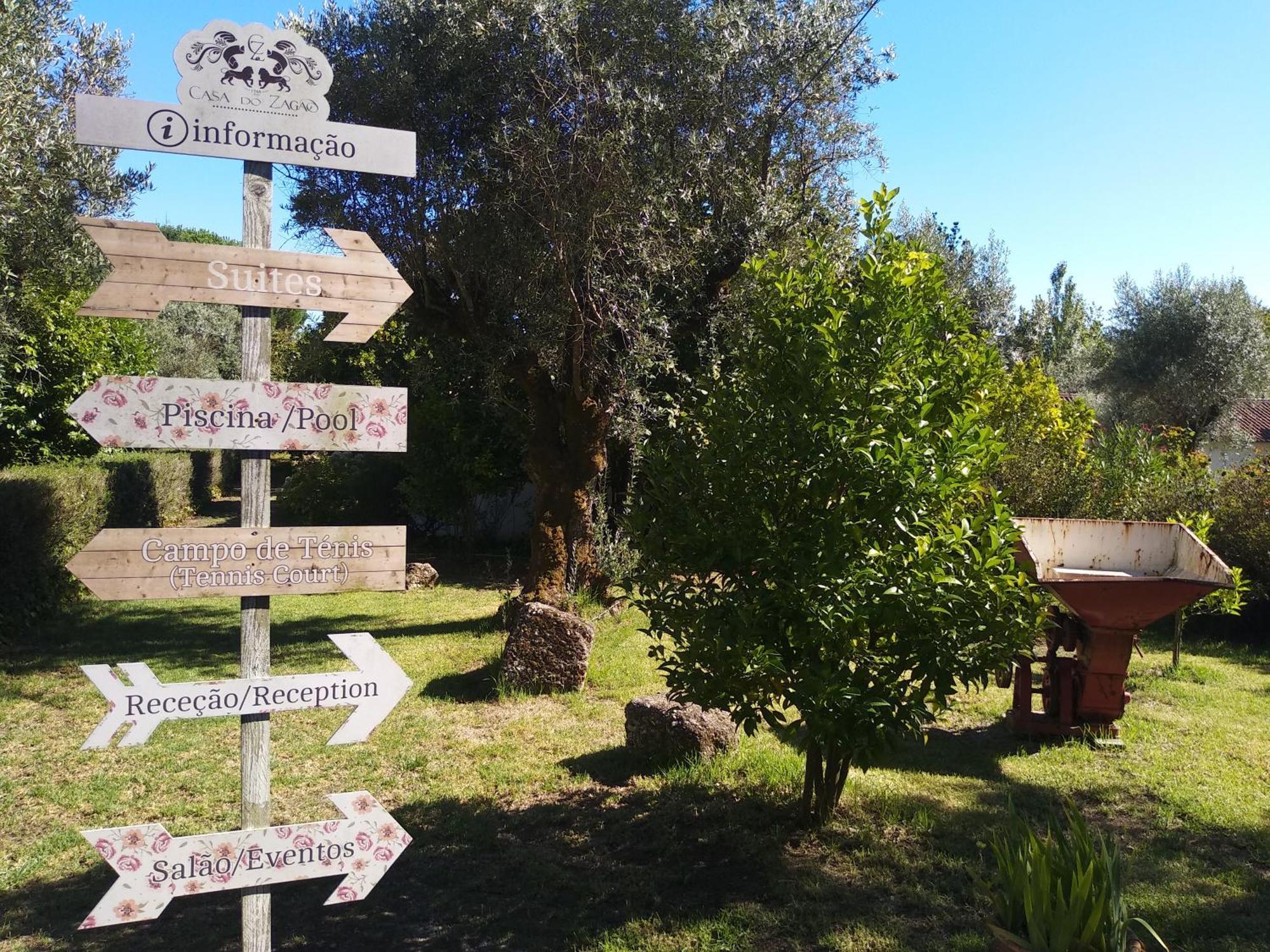 Casas Do Zagao - Turismo Rural Carregal do Sal Eksteriør bilde