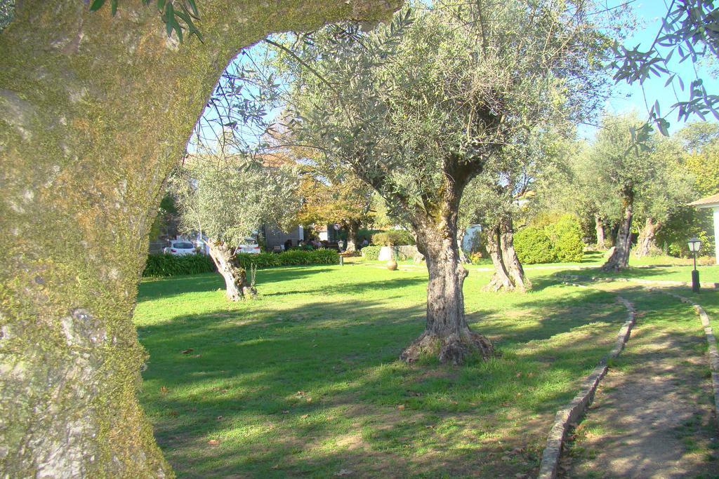 Casas Do Zagao - Turismo Rural Carregal do Sal Eksteriør bilde